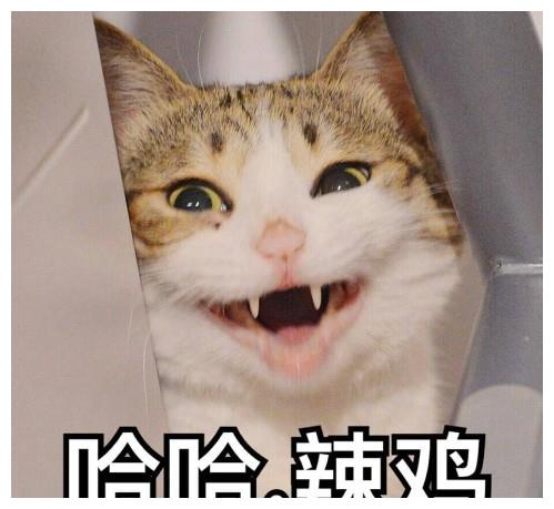 幽默笑话去女友家吃饭,岳母说对她不要太好,该打还是要打的