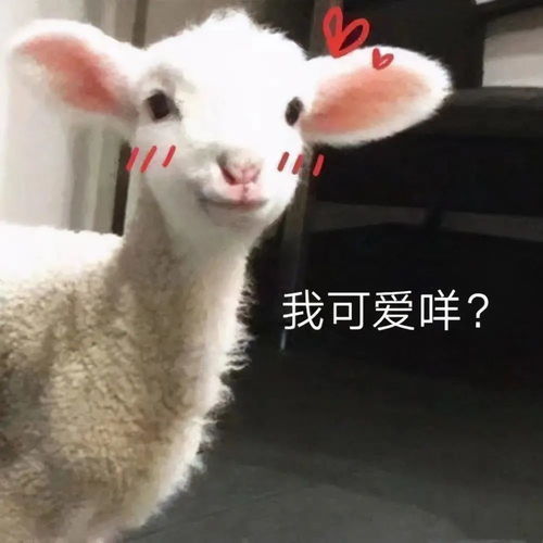 可爱沙雕表情包当时我就不建议他出院