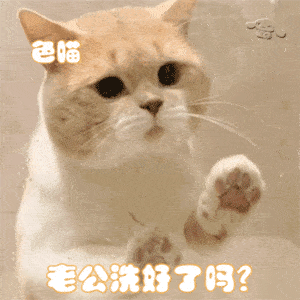 每日沙雕表情包