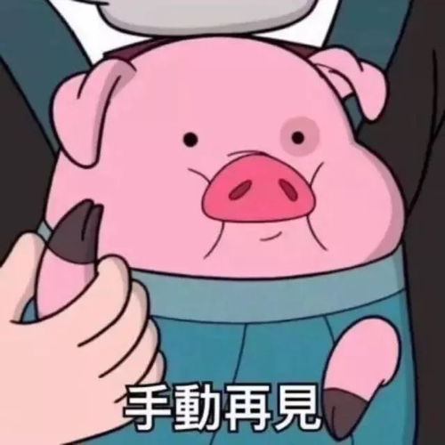 鉴婊语录句句暗藏玄机