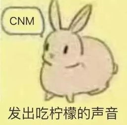 这对宝藏情侣一起减肥的故事也太好笑了叭真的好有梗啊啊啊啊