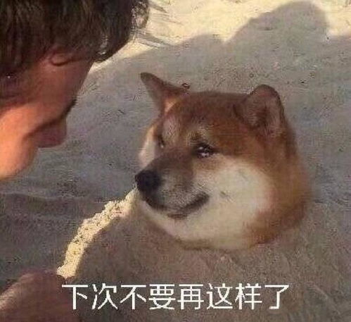 搞笑狗狗表情包第四弹