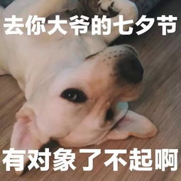 速藏七夕表情包大全,无水印保你百毒不侵