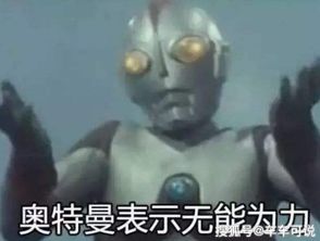 明明都是车牌,它却不能有特权,车主眼泪掉下来