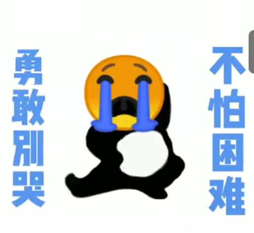 软件文章最新更新