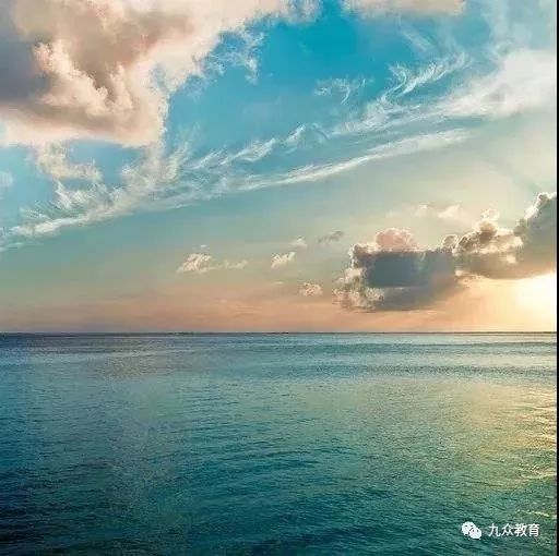 2018年最讽刺的网络言论