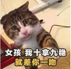 七夕特辑七夕节如何和土味情话合作的