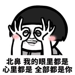 搞笑表情图我玩的不是游戏