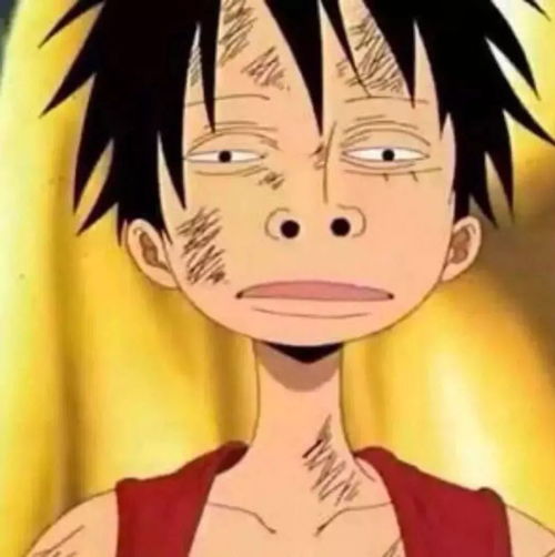 每日头像别骗我,我可是会当真的