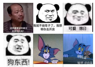 你们有哪些沙雕的表情包,让人一看就忍俊不禁的
