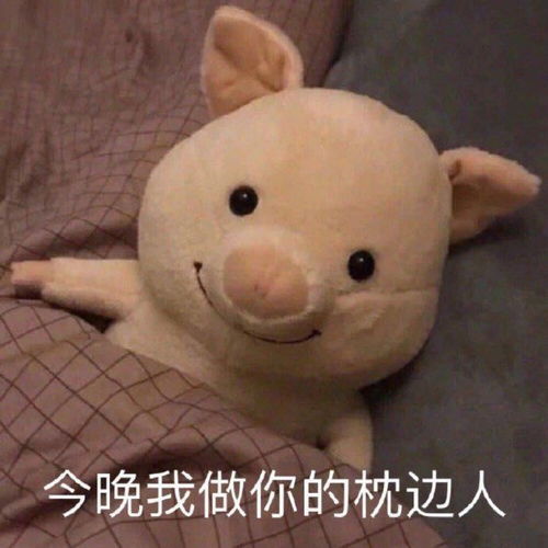 你会在12月31号发什么跨年文案
