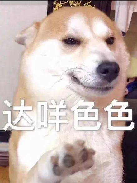 磕cp磕到男友头上,为了让他们cp锁死我主动选择分手
