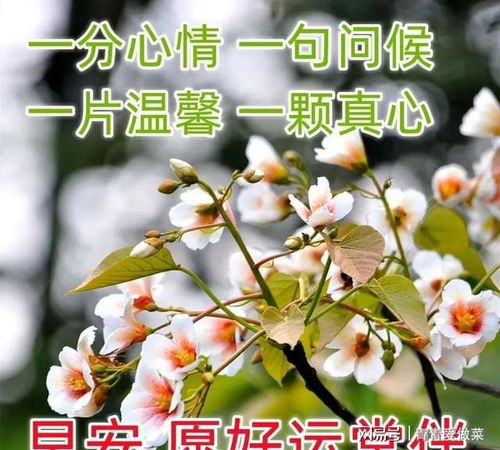 特漂亮的早上好问候语表情美女图片,特别新的早上好问候语