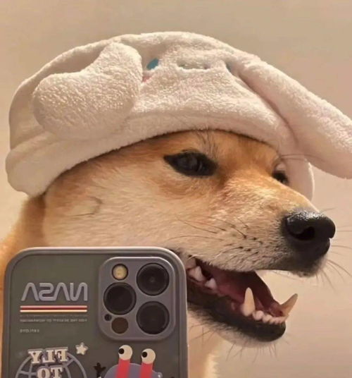 超nice的微信头像