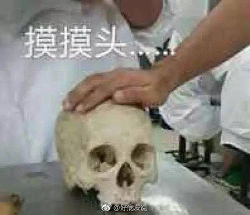 有人对你说呵呵,你要这样怼回去搞笑频道