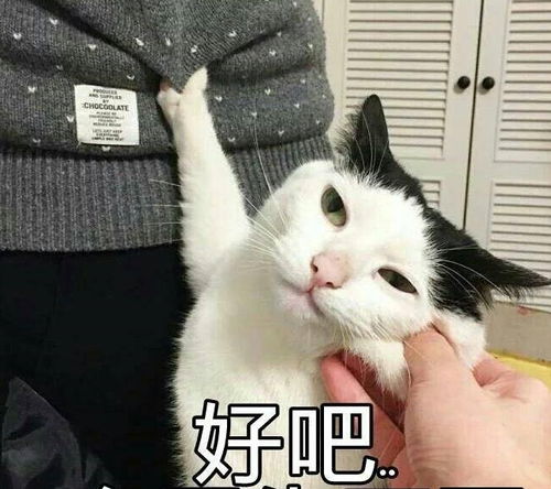 幽默笑话跟同学去打游戏,正起劲时,有人在背后拍了一下肩膀
