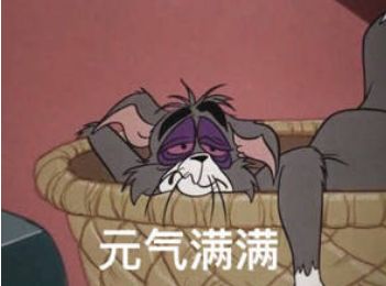 关于猫和老鼠的搞笑故事,你看过几个呢