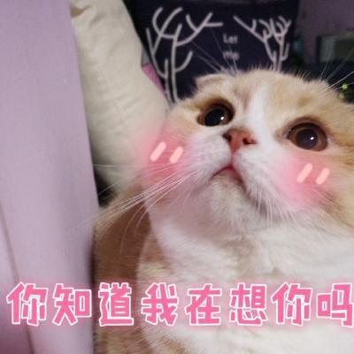 十条段子你妈没给留饭钱啊