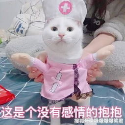 爆笑段子哥们开了一个大公司,还被央视晚会邀请