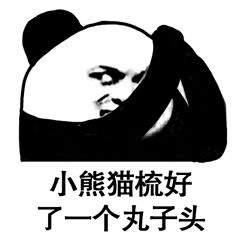 小熊猫梳好了一个丸子头表情包下载小熊猫梳了一个新发型表情包高清无水印极光下载站