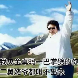 汪涵问韩红最想销毁哪张照片,看了评论区更心疼韩老师了2333