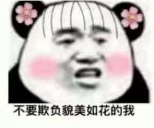 超级沙雕可爱文案,风趣幽默