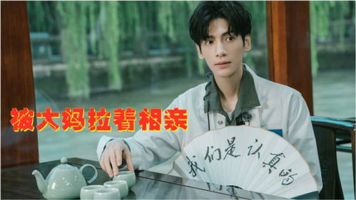罗云熙误入相亲角,被大爷大妈拉着介绍对象,表情尬住太好笑