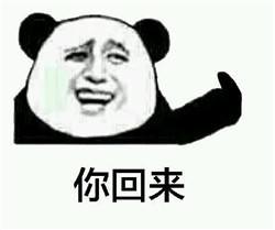暴走表情包金馆长熊猫头,门在那边滚滚的挺开心