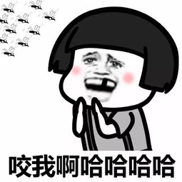 夏天我独得蚊子恩宠