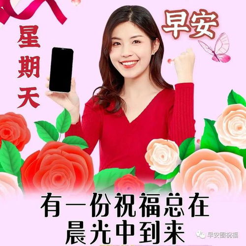 8月20日星期天早上好问候祝福动态表情图片大全周日最新早安问候语动态图片