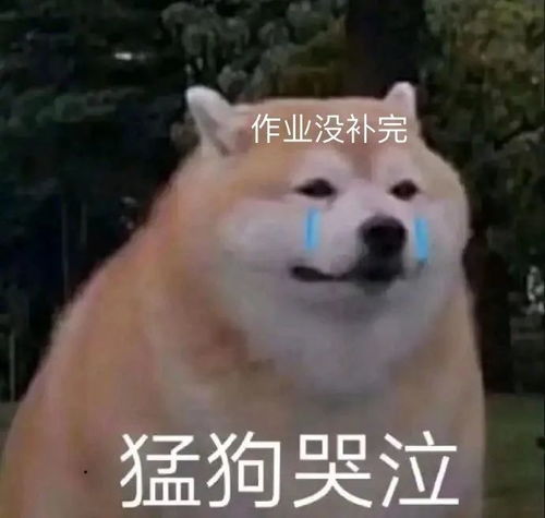 超搞笑聊天表情包一起看星星么我请客