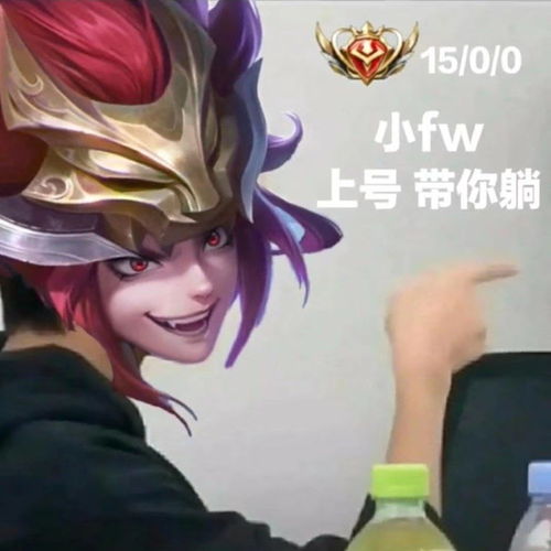 王者荣耀搞笑表情包野王