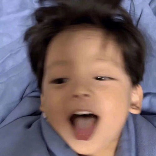 可爱表情包原图无字热门搞笑