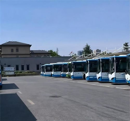 男子坐公交车到终点站车内躺平一夜,竟没被发现转天早晨病危