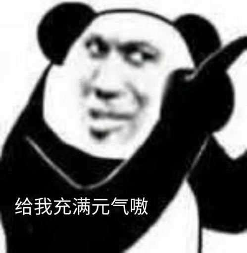 沙雕熊猫头表情包出来吧,平胸怪兽