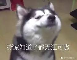 继张学友后,陈奕迅也走上了表情包的不归路太好笑了哈哈哈哈
