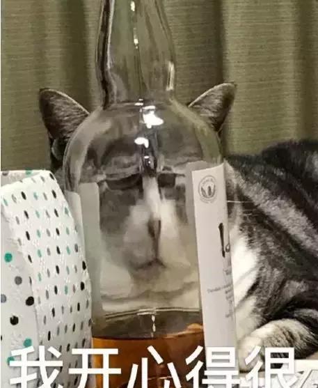 爷爷家那只本来很有威严的猫,被我一拍就成了傻猫