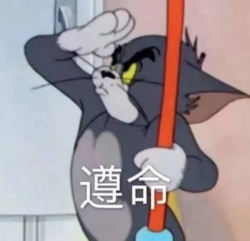 今日表情包我在网上冲浪