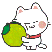 有趣的没事猫qq表情图片