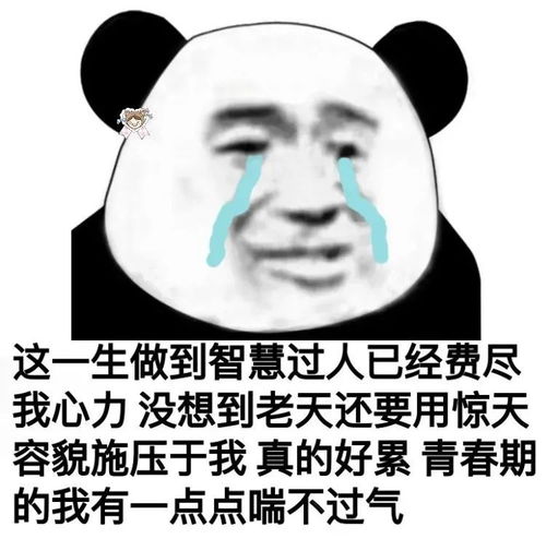 表情包丨沙雕表情包动图抖音5.03期