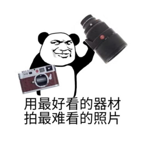 来自摄影君的愚人节搞笑放送摄影爱好者专属表情包