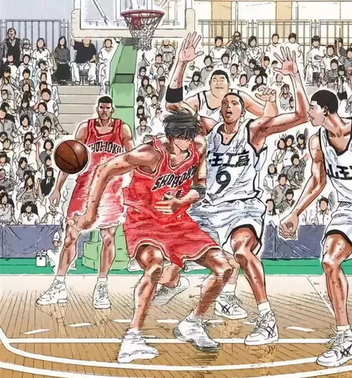 哇男儿当入樽时隔28年后再版,樱木花道流川枫再次点燃热血青春
