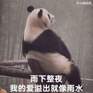 微信聊天可爱表情包不要搞我了好不好