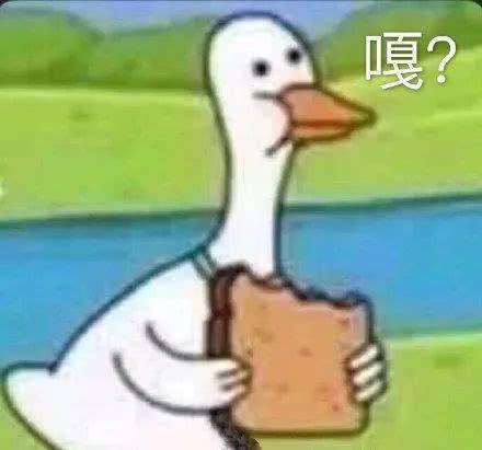 宁静又出来diss章子怡了,简直就是实力护郑爽啊