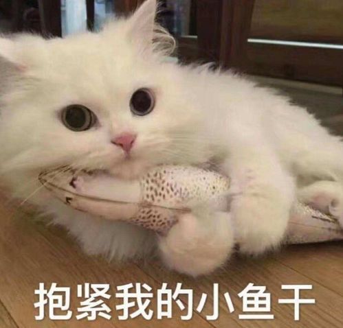 幽默笑话,媳妇的闺蜜在朋友圈晒了一盘很有食欲的蛋炒饭照片