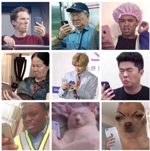 蔡徐坤搞笑表情包表情包