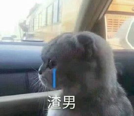 恋爱搞笑表情包想住进你的心房,炸了你的鱼塘