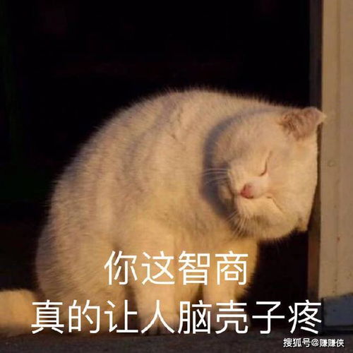 搞笑表情包我什么时候才能开心啊,顶我上去
