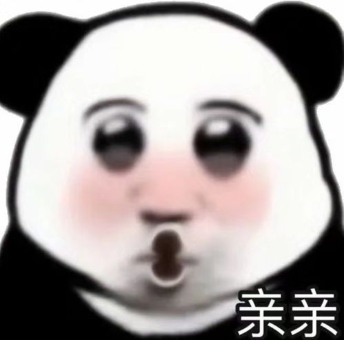 熊猫头搞笑表情包3.9