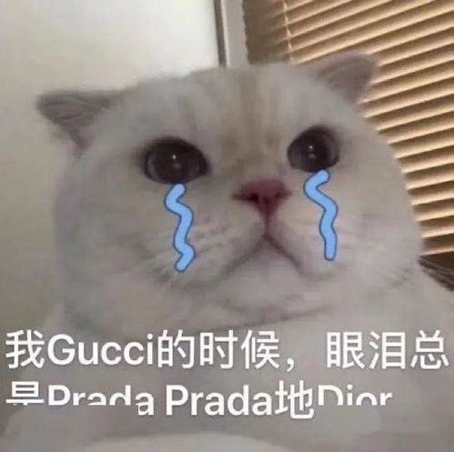 毁人不倦彭王者家的衣服吓跑高级厌世脸,又来祸害girlcrush女孩